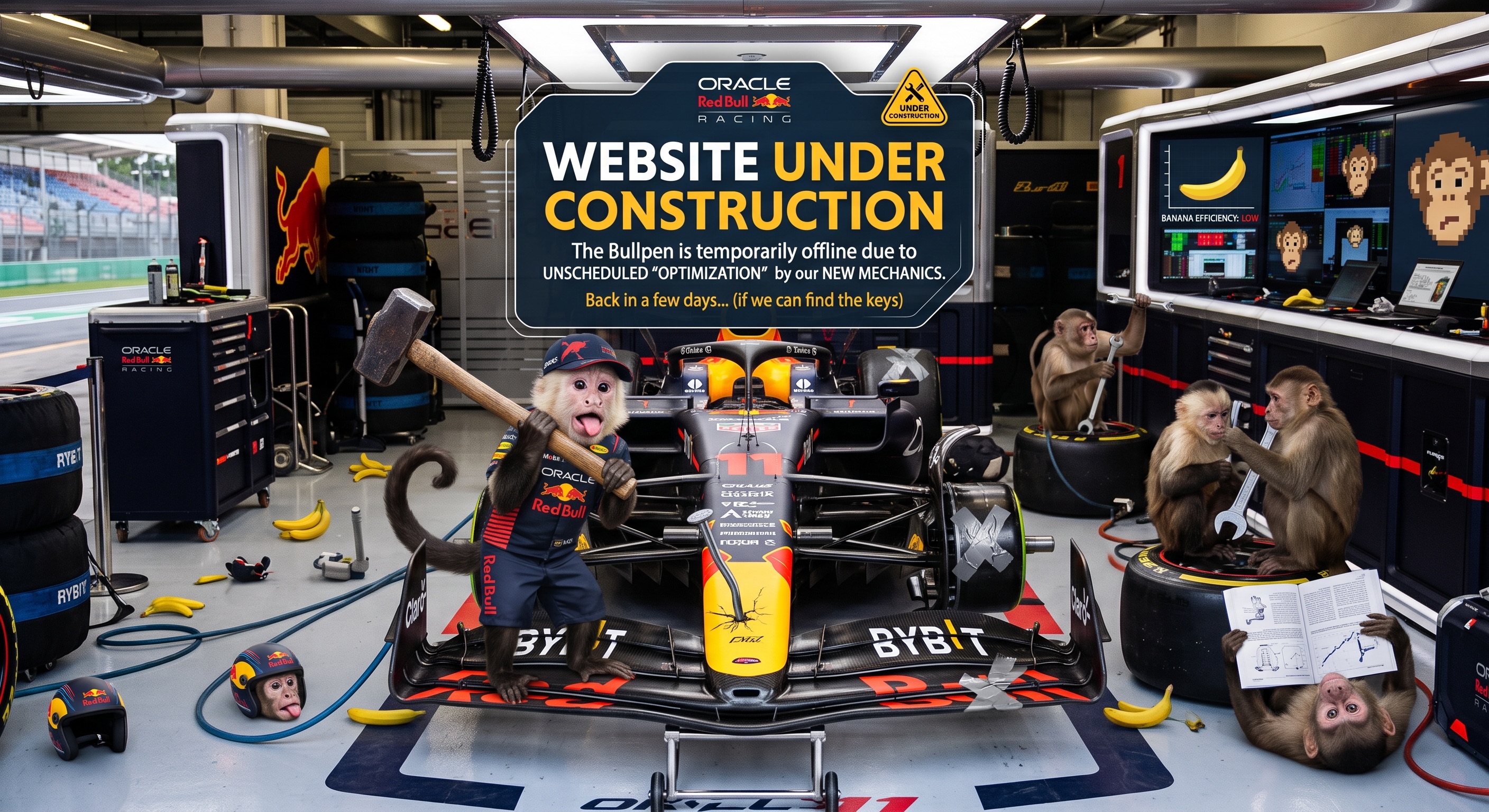 Website under construction. Back in a few days.
